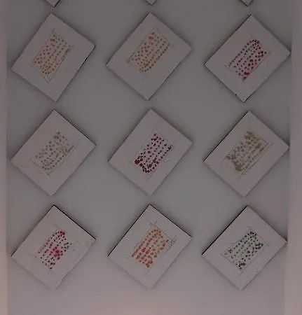 B&B Rooms